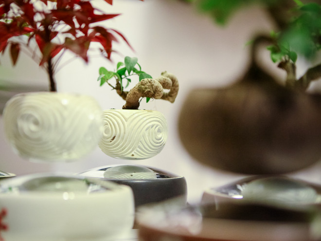 Tết Đinh Dậu 2017: Cây bonsai bay lơ lửng "độc," lạ hút khách Thủ đô ảnh 9