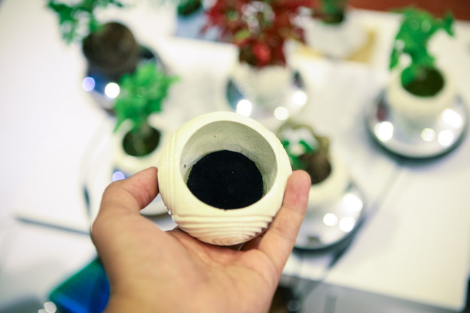 Tết Đinh Dậu 2017: Cây bonsai bay lơ lửng "độc," lạ hút khách Thủ đô ảnh 3