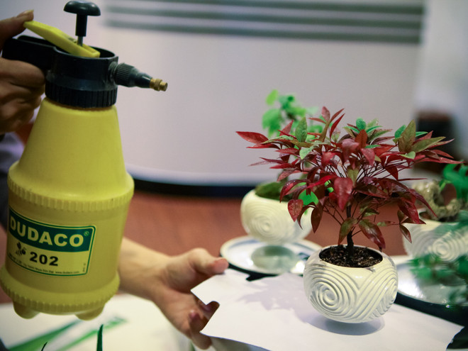 Tết Đinh Dậu 2017: Cây bonsai bay lơ lửng "độc," lạ hút khách Thủ đô ảnh 8