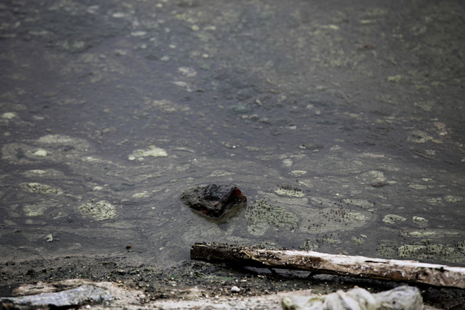 [Photo] Tốn hàng chục tỷ cải tạo hồ Ngọc Khánh vẫn bốc mùi hôi thối ảnh 9