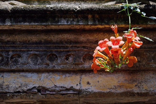 Làng Cựu – Vẻ đẹp 500 năm tuổi bị bỏ quên ngay thủ đô Hà Nội ảnh 3