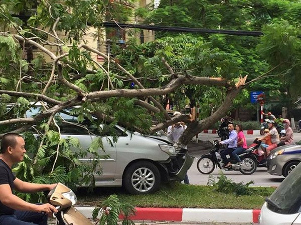 Hà Nội: Ôtô bất ngờ mất lái “đâm gục” cây xanh gần Chùa Hà ảnh 1