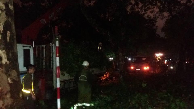 Hà Nội: Cây cổ thụ đổ trúng người sau trận mưa "giải hạn" ảnh 1