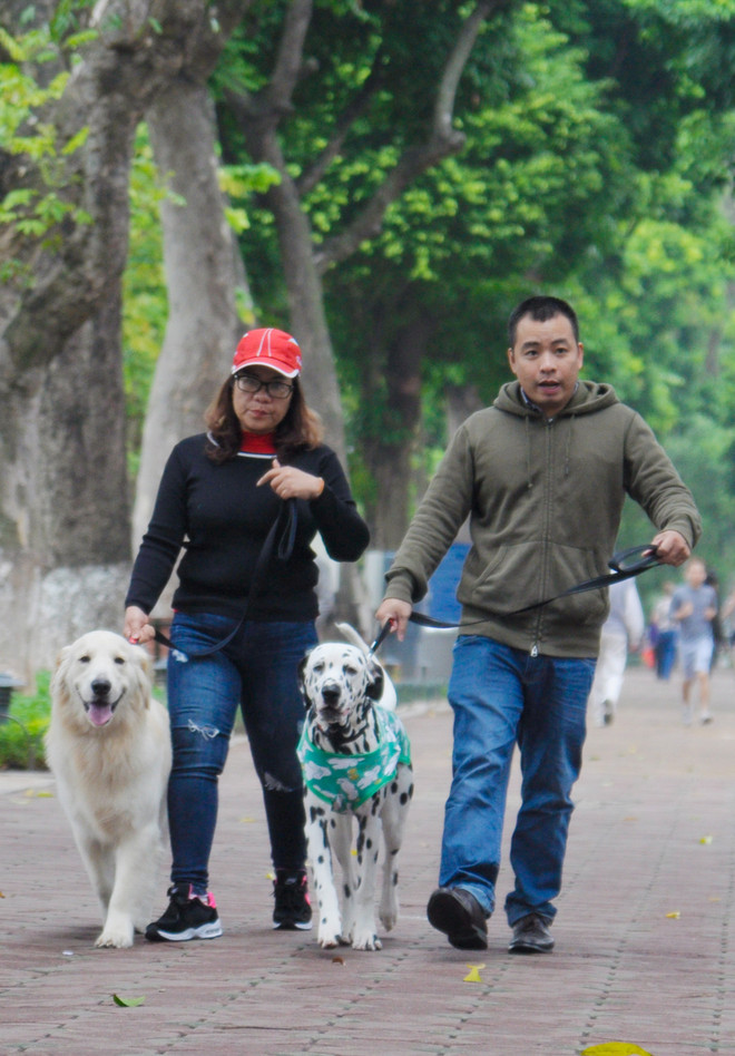 [Photo] Thủ đô Hà Nội se sắt trong cái lạnh đầu Đông ảnh 7