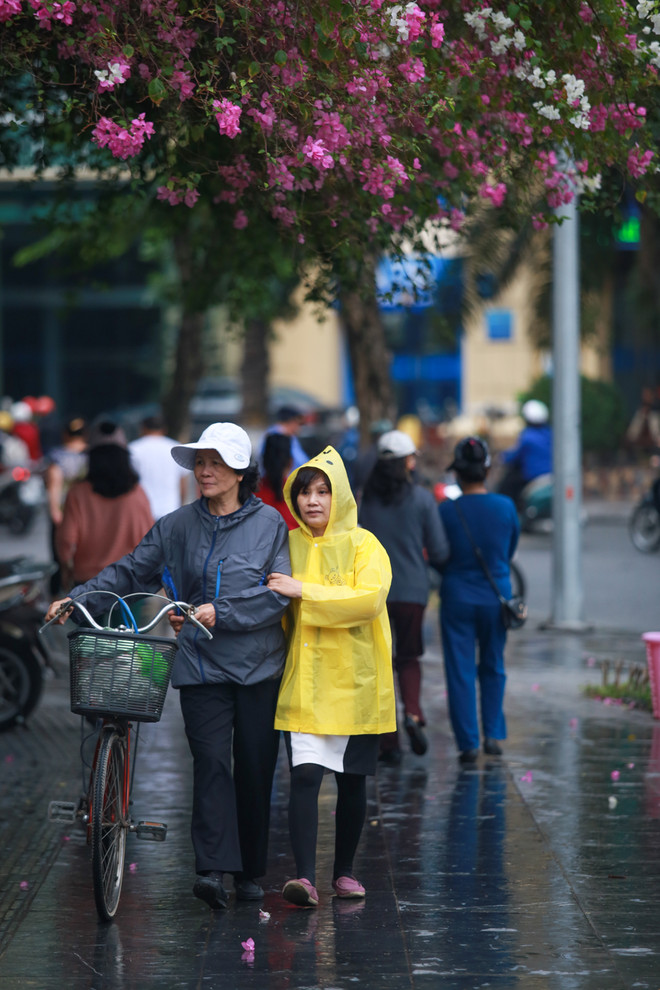 [Photo] Thủ đô Hà Nội se sắt trong cái lạnh đầu Đông ảnh 12