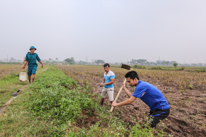 Theo chân trai làng ngoại thành Hà Nội đi bắt chuột đồng ảnh 3