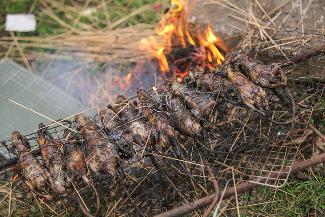 Theo chân trai làng ngoại thành Hà Nội đi bắt chuột đồng ảnh 16