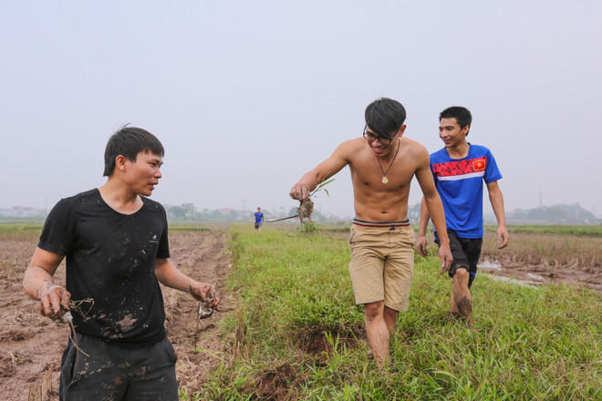 Theo chân trai làng ngoại thành Hà Nội đi bắt chuột đồng ảnh 11