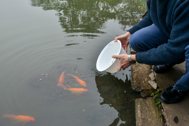 "Chúc người dân Việt Nam năm mới phát tài lộc, không phát phì" ảnh 4