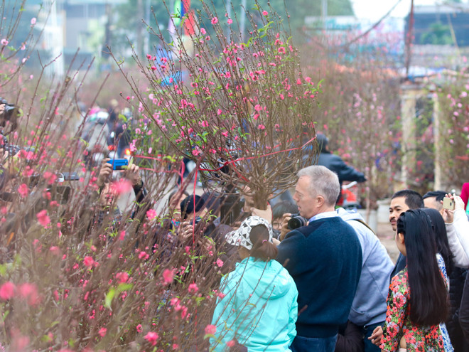 Đi chợ hoa Quảng An, Đại sứ Mỹ tâm sự kế hoạch nghỉ Tết Nguyên đán ảnh 3