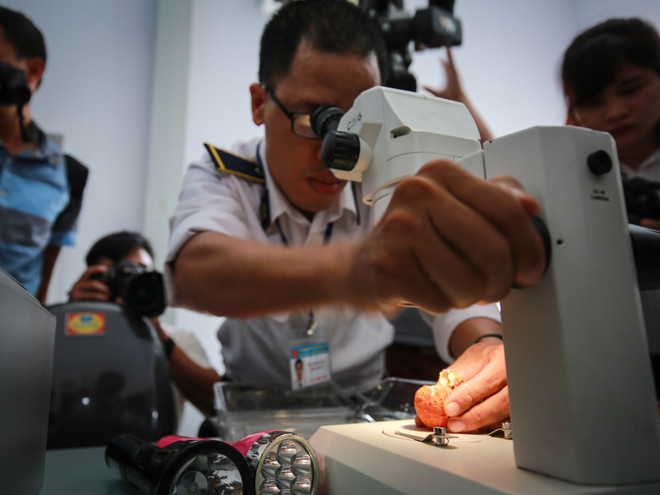 Cận cảnh lô vải thiều xuất khẩu lần đầu tiên được chiếu xạ tại Hà Nội ảnh 4