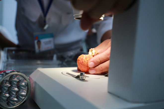 Cận cảnh lô vải thiều xuất khẩu lần đầu tiên được chiếu xạ tại Hà Nội ảnh 6