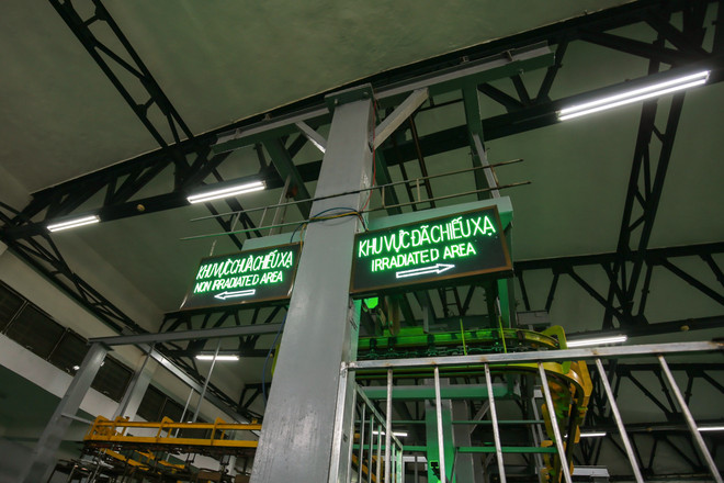 Cận cảnh lô vải thiều xuất khẩu lần đầu tiên được chiếu xạ tại Hà Nội ảnh 9