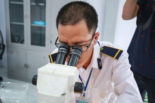 Cận cảnh lô vải thiều xuất khẩu lần đầu tiên được chiếu xạ tại Hà Nội ảnh 5