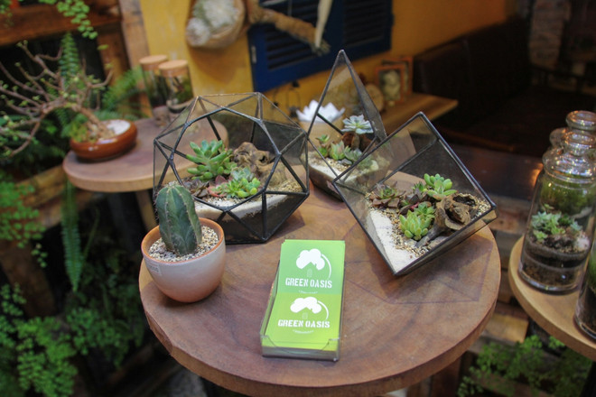 Độc đáo thú chơi cây cảnh trong bình thủy tinh chốn Hà Thành ảnh 1