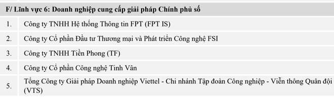 Vinh danh Top 10 doanh nghiệp Công nghệ thông tin Việt Nam 2021 ảnh 7