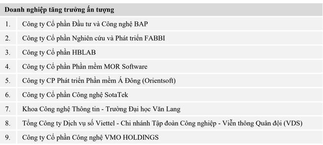 Vinh danh Top 10 doanh nghiệp Công nghệ thông tin Việt Nam 2021 ảnh 12