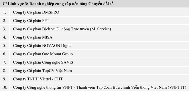 Vinh danh Top 10 doanh nghiệp Công nghệ thông tin Việt Nam 2021 ảnh 4