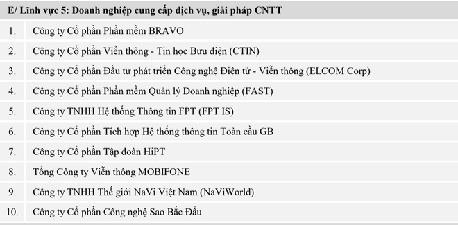 Vinh danh Top 10 doanh nghiệp Công nghệ thông tin Việt Nam 2021 ảnh 6