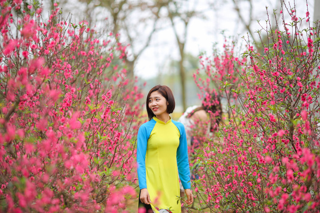 Khám phá lễ hội Xuân ba miền trong dịp Tết Nguyên đán 2018 ảnh 15