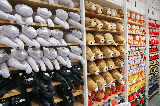 Khai trương chuỗi siêu thị bán lẻ tỷ đô của Nhật Bản tại Việt Nam ảnh 10