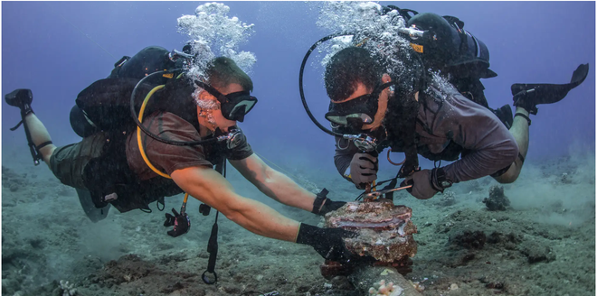 Vẫn còn một tuyến cáp quang biển chưa được sửa xong ảnh 1