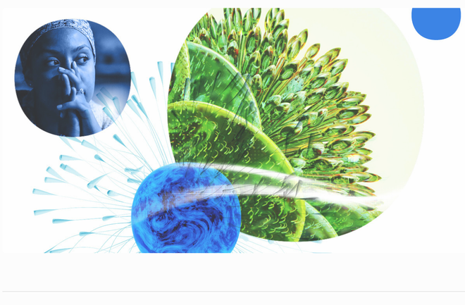 Việt Nam tăng 2 bậc trong Chỉ số đổi mới sáng tạo toàn cầu năm 2023 ảnh 1