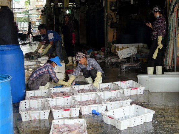 Khởi tố bị can, bắt Hưng 'kính' trong vụ bảo kê chợ Long Biên ảnh 1