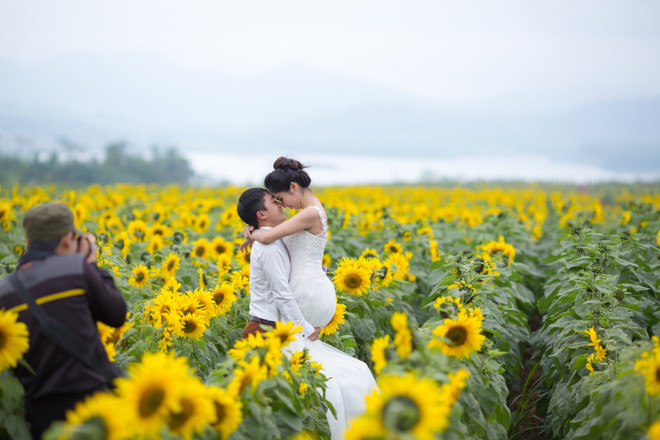 Khám phá cánh đồng hoa hướng dương lớn nhất Việt Nam ảnh 13