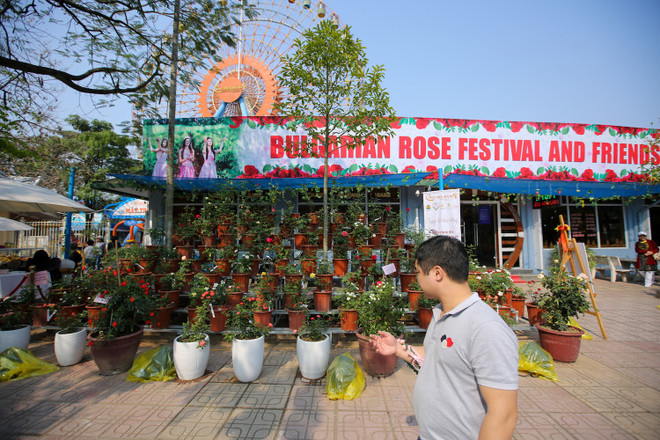 Du khách thất vọng vì hoa héo quắt ở lễ hội Hoa hồng Bulgaria ảnh 14