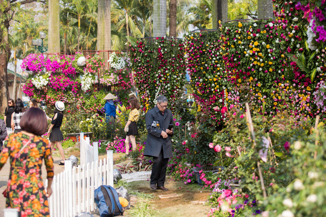 Du khách thất vọng vì hoa héo quắt ở lễ hội Hoa hồng Bulgaria ảnh 6