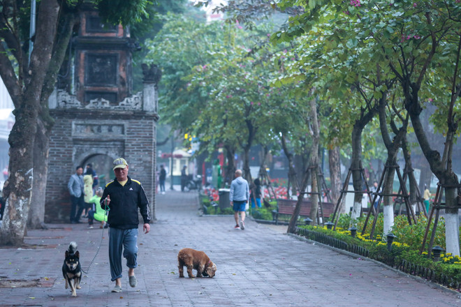 Có một Hà Nội yên bình, vắng lặng sáng mùng Một Tết ảnh 13