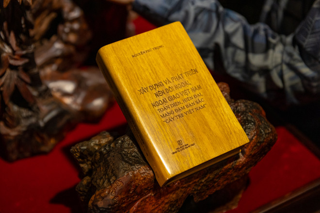 vnp_dieu khac anh sang-8.jpg