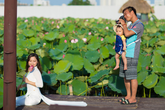 Đắm mình trong sắc sen Hồ Tây những ngày vào hạ ảnh 14