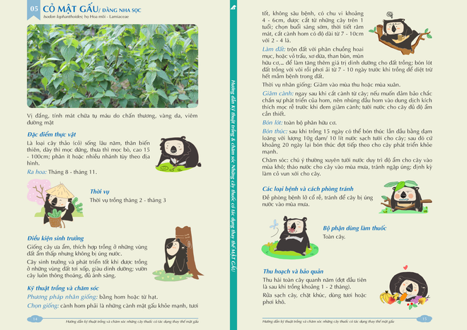 Ra mắt hai cuốn sách đặc biệt bảo vệ loài gấu Việt Nam ảnh 3