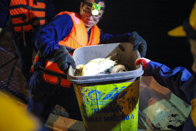 Chạy 8 máy sục ôxy, khẩn cấp làm sạch hồ Hoàng Cầu trong đêm ảnh 8