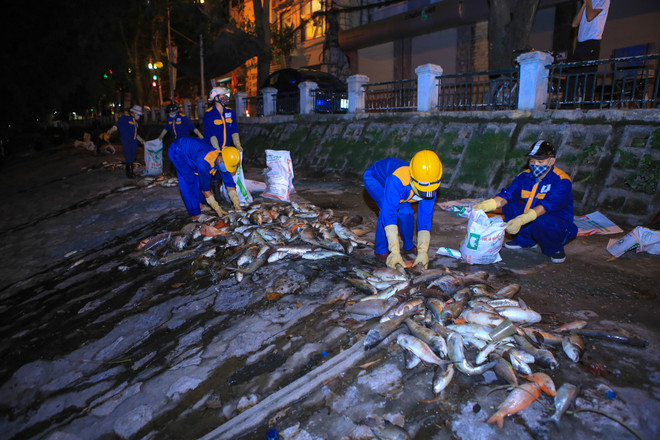 Chạy 8 máy sục ôxy, khẩn cấp làm sạch hồ Hoàng Cầu trong đêm ảnh 13