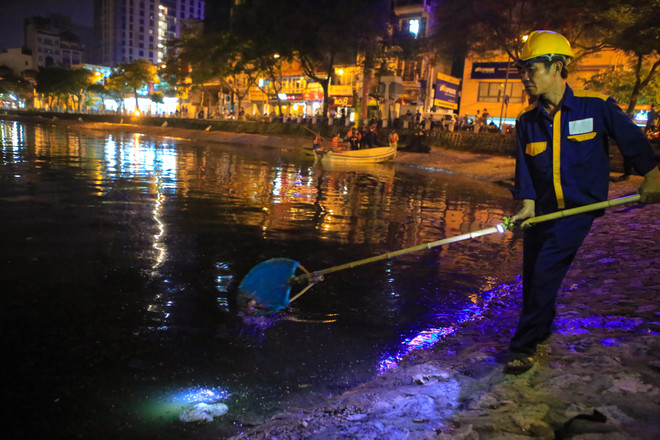 Chạy 8 máy sục ôxy, khẩn cấp làm sạch hồ Hoàng Cầu trong đêm ảnh 12