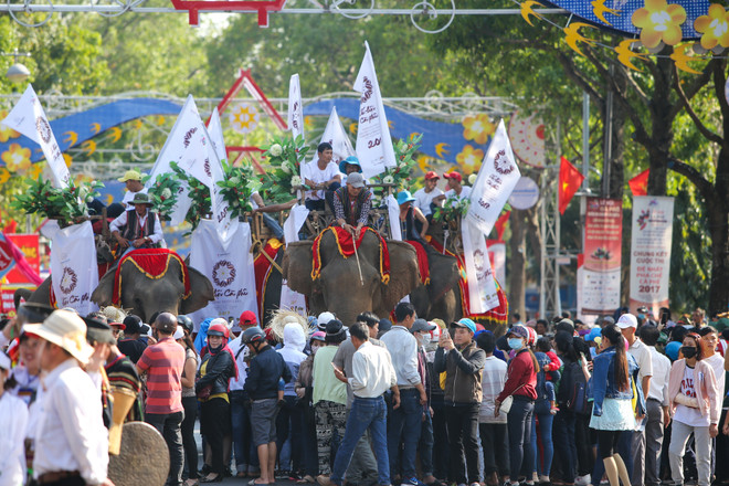 Đàn voi Tây Nguyên tham gia diễu hành lễ hội đường phố Buôn Ma Thuột ảnh 3