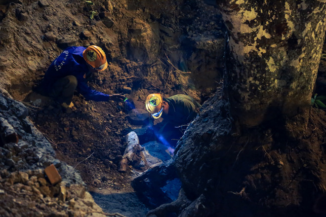 Trắng đêm di dời những cây xà cừ bên đường Kim Mã ra khỏi Hà Nội ảnh 7