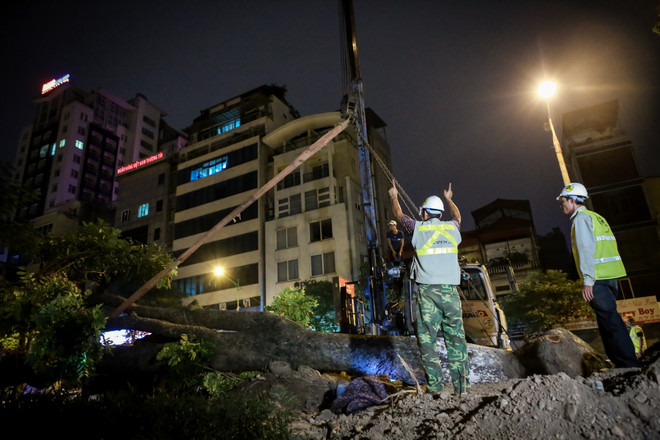 Trắng đêm di dời những cây xà cừ bên đường Kim Mã ra khỏi Hà Nội ảnh 10