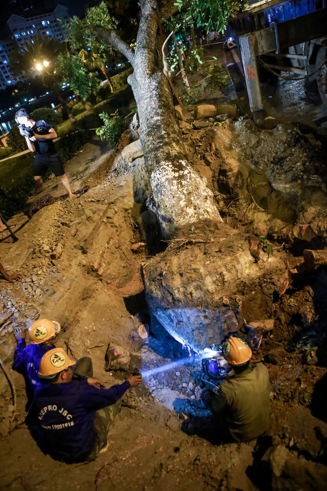 Trắng đêm di dời những cây xà cừ bên đường Kim Mã ra khỏi Hà Nội ảnh 9