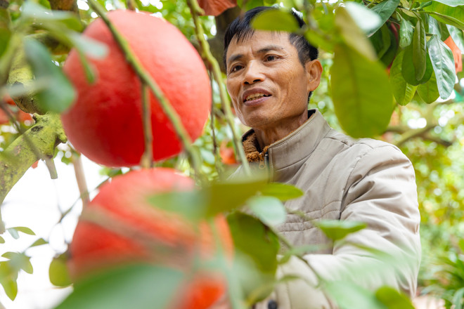 vnp_lang trong buoi do 5.jpg