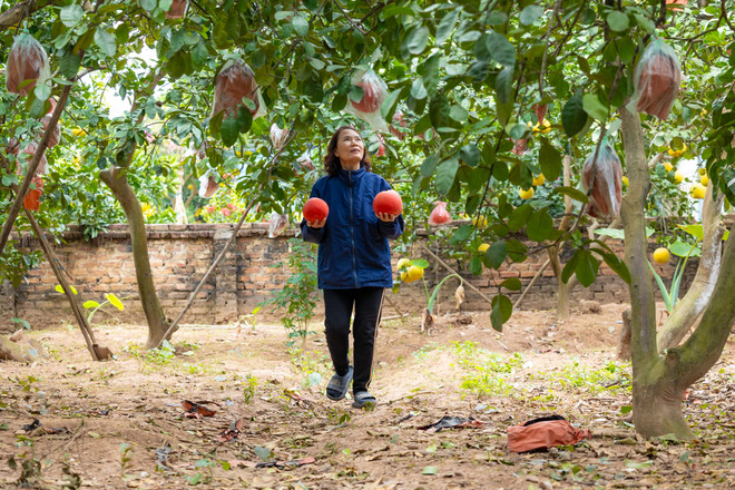 vnp_lang trong buoi do 11.jpg