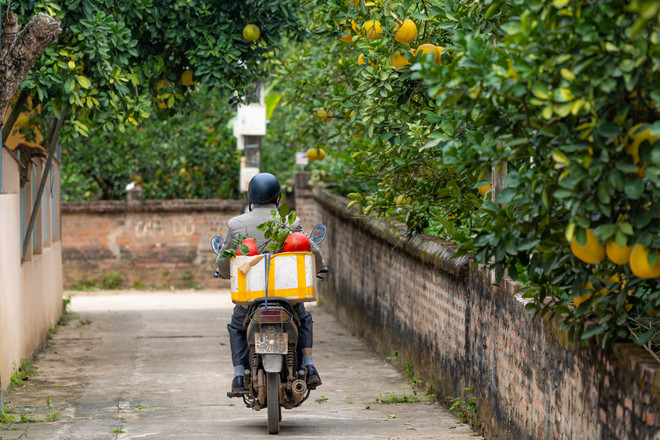 vnp_lang trong buoi do 10.jpg