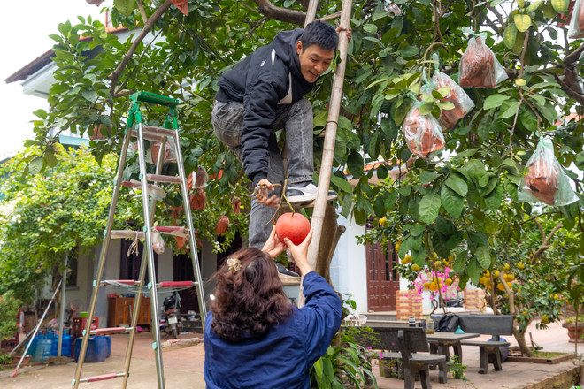 vnp_lang trong buoi do 13.jpg