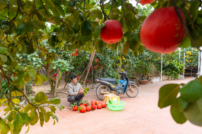 vnp_lang trong buoi do 9.jpg