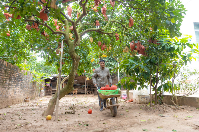 vnp_lang trong buoi do 7.jpg