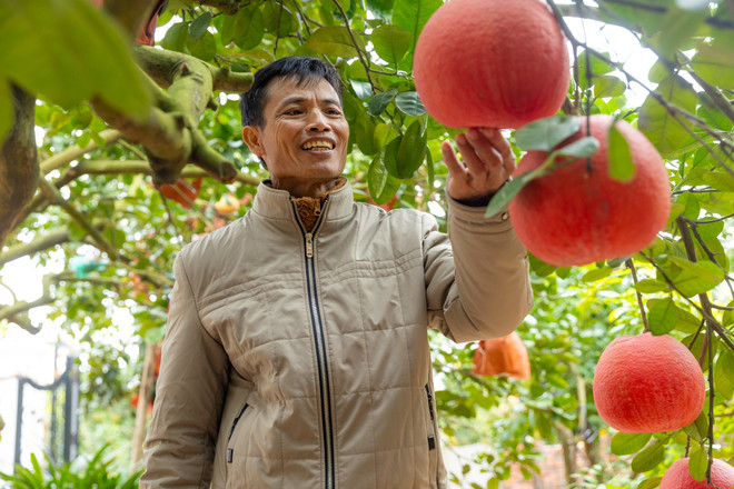 vnp_lang trong buoi do 1.jpg