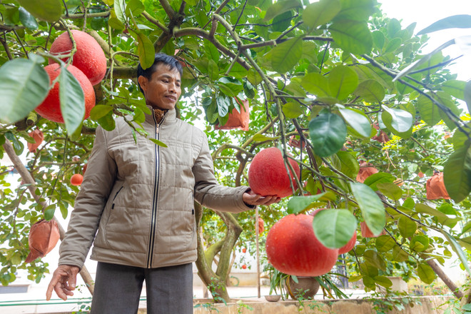 vnp_lang trong buoi do 2.jpg